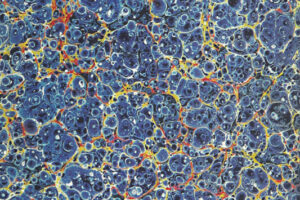 Decorative Paper