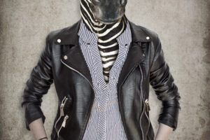 Zebra in clothes.